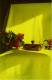 <b>Название: </b>photo1,
<b>Добавил:<b> erevan<br>Размеры: 243x368,
19.0 Кб